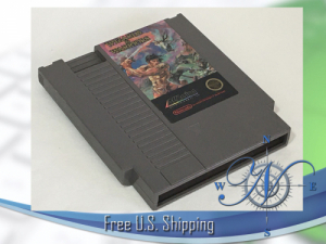 <h4>Wizards and Warriors - NES</h4>