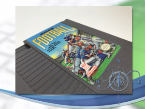 <h4>Play Action Football - NES</h4>